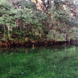 16102423877_e8ae734921_o