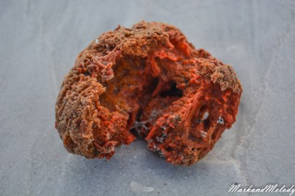 Sponges vary from a beige to orange to a bright red