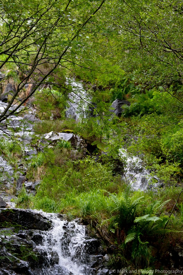 Hidden waterfalls like these are beautiful yet hazardous on the trail. Nike frees won't do you any good on this trail.