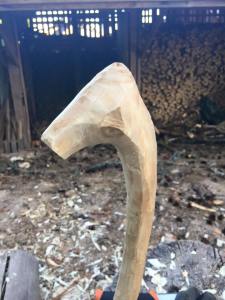 11899888_10207187134973826_6612412799657273721_n