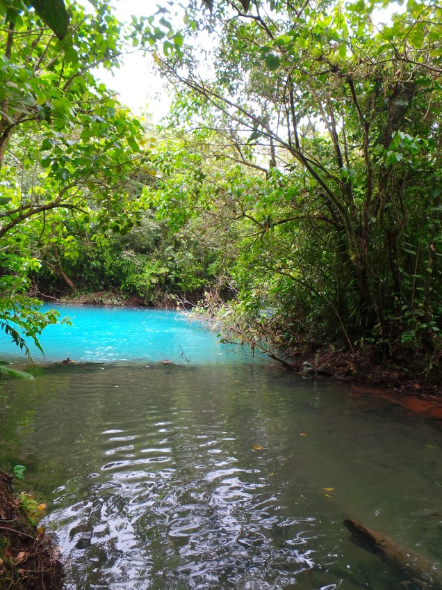 S2014-10-03 12.31.35