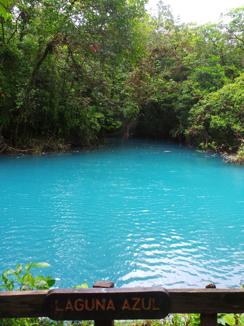 S2014-10-03 12.33.36