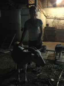 My beloved goat. Not sure if she knows what's up, but I'm about to show her. 